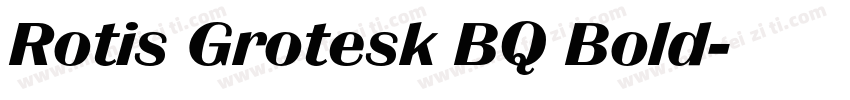 Rotis Grotesk BQ Bold字体转换